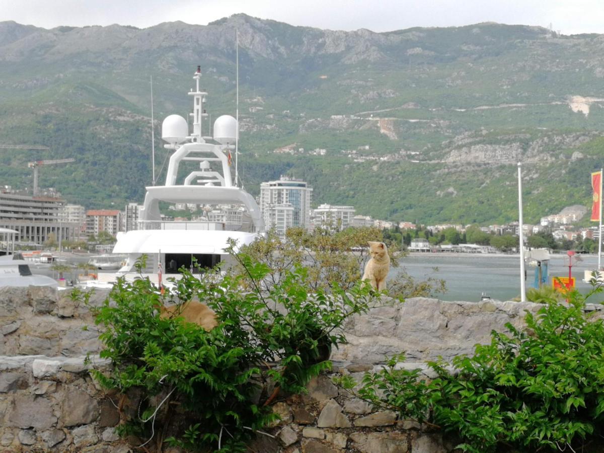Guesthouse Bogdanovic บุดวา ภายนอก รูปภาพ