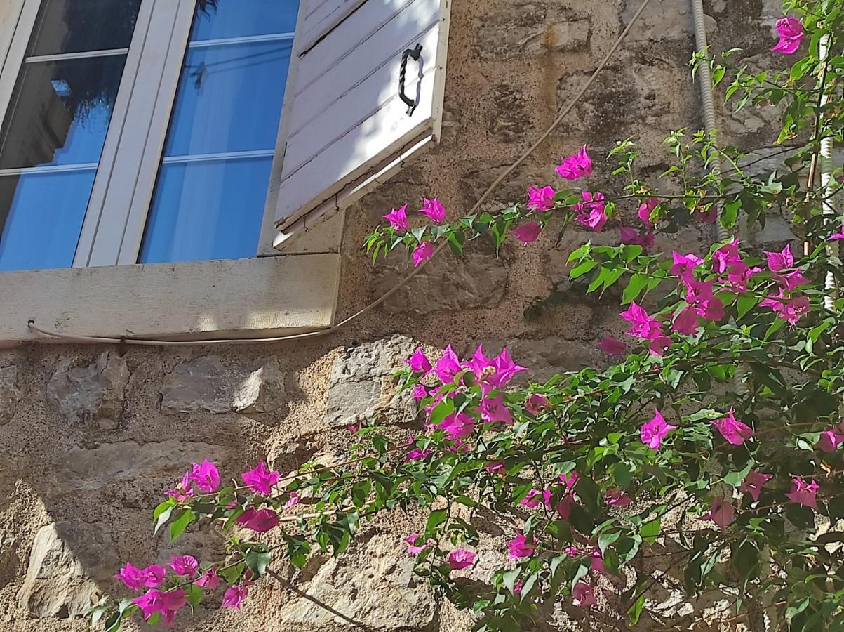 Guesthouse Bogdanovic บุดวา ภายนอก รูปภาพ